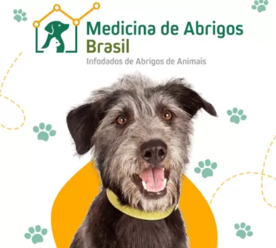 Fórum Animal apoia primeira iniciativa do Brasil p