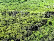 Retorno do Fundo Amazônia vai garantir R$ 2, 5 bil