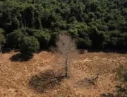 Amazônia e Cerrado batem recorde de alertas de des