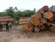 Força-tarefa contra desmatamento apreende madeira 