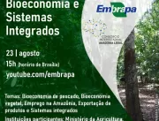 Amazônia: bioeconomia e sistemas integrados estarã