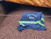 Sefa apreende mais de 63 toneladas de minério de f