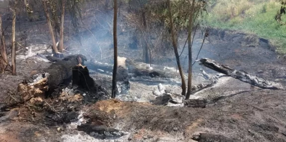 Trágico: incêndio destrói área de preservação em C