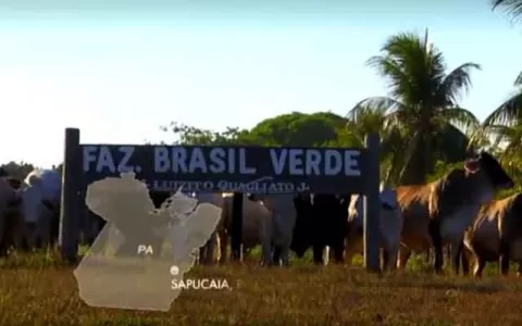 Pecuarista do Pará é condenado por manter 85 traba