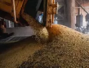 Safra de grãos deve chegar a 271,3 milhões de tone