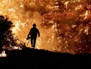 Calor e incêndios colocam Portugal em estado de contingência 