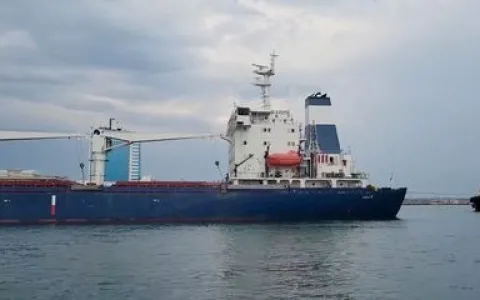Navio de grãos zarpa de porto de Odessa, diz ministro ucraniano 