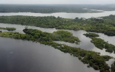 Preservação da Amazônia é prioridade do governo eleito na COP27 