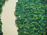 Inpe mostra que Pará reduziu desmatamento em 21% 