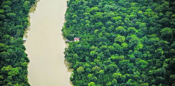 Inpe mostra que Pará reduziu desmatamento em 21% 