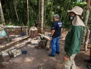 Governo do Pará aumenta rigor na fiscalização ambiental 