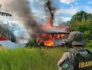 STF rejeita lei de Roraima que proíbe destruição d