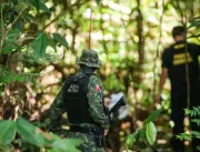 Desmatamento cai no Pará graças a ações integradas