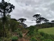 Multas por desmatamento na Amazônia aumentam 219% 