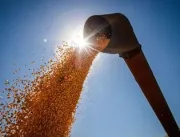 Produção de grãos deve ter alta de 15% na temporad