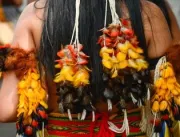 Brasil deve ter orgulho de seus povos indígenas, diz secretária 
