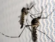 Saúde lança campanha após aumento da dengue, Zika 