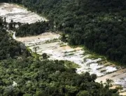 Força-tarefa destrói dez garimpos ilegais na Amazô