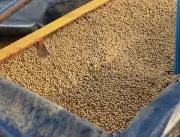 Sefa apreende 100 toneladas de soja em Conceição d