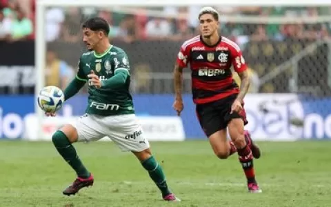 Palmeiras e Flamengo se enfrentam tentando se apro