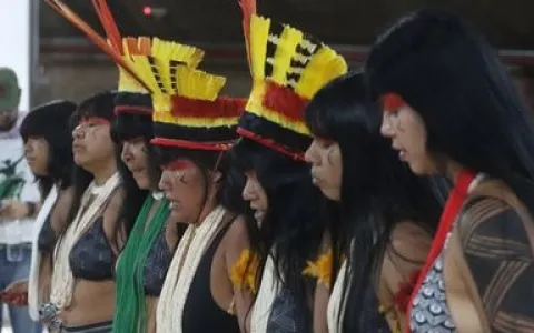 Festival em Brasília celebra tradições de povos tr