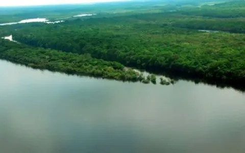 Cúpula, em Belém, será a “voz amazônica”, diz dire