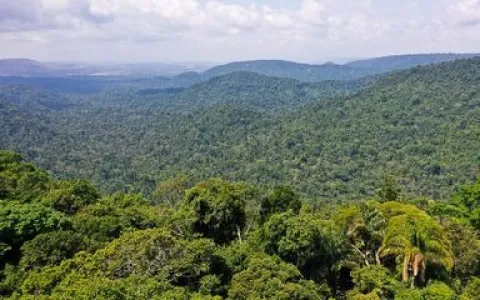 Festivais Dia da Amazônia alertam para defesa dos biomas brasileiros 
