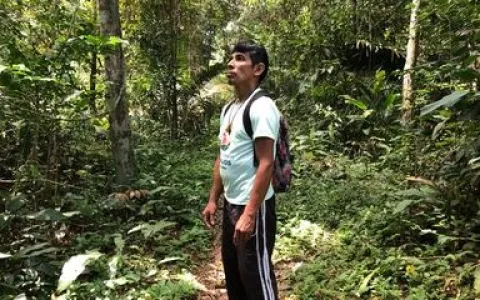 No Dia da Amazônia, organizações alertam sobre preservação do bioma 