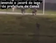  Ataque Brutal a Jacaré no Lago da Prefeitura de Canaã dos Carajás