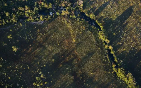 Desmatamento do Cerrado ameaça segurança hídrica de todo o Brasil 