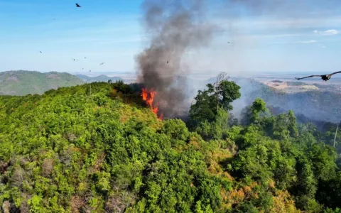 Onda de calor: Prefeitura de Canaã dos Carajás alerta para cuidados para evitar incidência de queimadas