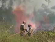 Pará registra pior índice de queimadas do Brasil e
