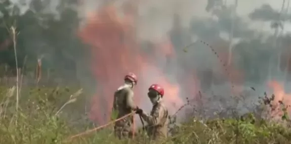 Pará registra pior índice de queimadas do Brasil e