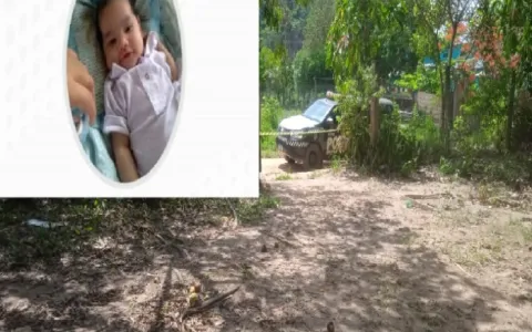 Mãe é suspeita de matar bebê e jogar dentro de poço em São Félix do Xingu