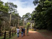 Bioparque Vale Amazônia reabre para visitação nest