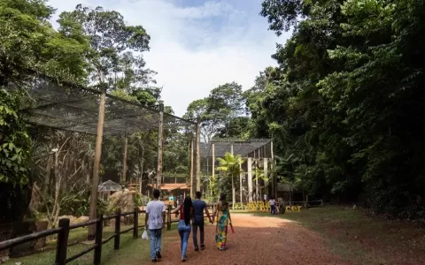 Bioparque Vale Amazônia reabre para visitação nest
