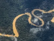 Noruega anuncia mais R$ 245 milhões para o Fundo Amazônia 