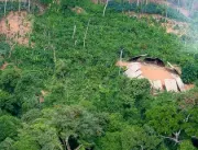 Desmatamento em áreas protegidas da Amazônia cai 7