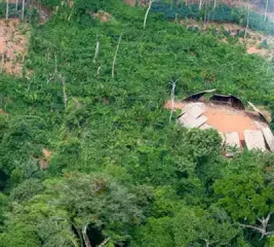 Desmatamento em áreas protegidas da Amazônia cai 73% em 2023 