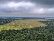 Desmatamento na Amazônia cai 60% em janeiro deste 