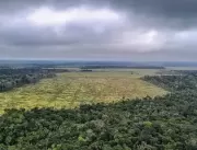 Brasil: 15 mi de hectares de imóveis rurais se sob