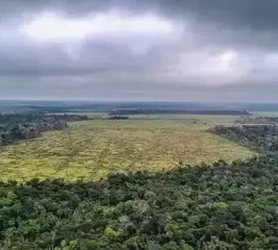 Brasil: 15 mi de hectares de imóveis rurais se sobrepõem a florestas