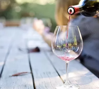 Tecnologia reduz riscos trabalhistas em vinícolas; saiba mais!