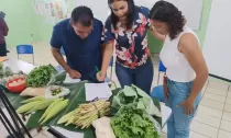 São João do Araguaia: Cooperativa de Agricultores 