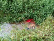 Jovem de 22 anos é encontrado morto dentro de igarapé em Parauapebas