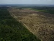 Pará é o estado com maior índice de desmatamento e