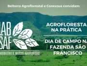 Laboratório de Negócios Agroflorestais beneficiará
