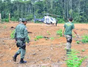 Fim do Fundo Amazônia pode afetar fiscalização do Ibama contra o desmatamento