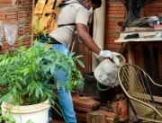 Em Canaã dos Carajás, mutirão contra a dengue cheg