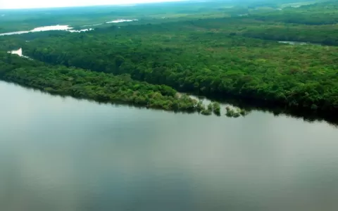 Decreto renova atuação das Forças Armadas na Amazô
